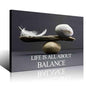 Biuteawal Motivational Wall Art Zen Canvas Print Black White Balance Stones with Feather Picture Painting Inspirational Quote Artwork Framed Home Office Classroom Bedroom Decor Ready to Hang