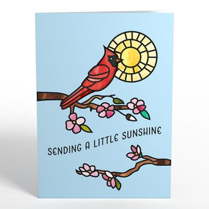 Lovepop Suncatcher Card for Her and Him - 3D Everyday Greeting Cards for Boys, Girls, Men, Women, Son, Daughter - Sending Sunshine Cardinal - 5" x 7" Card - Blank Note Card & Envelope Included - color: Sending Sunshine Cardinal Suncatcher Card