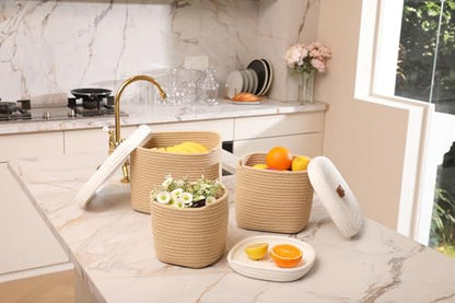 Set of 3 Stylish Rectangular Woven Baskets with Lids - Elegant Storage Solution for Home Decor and Organization, Beige/White Lid