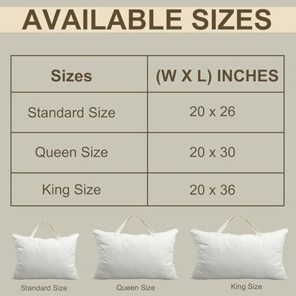 2 Pack 100% Cotton 20"x 30" Canvas Travel Pillow Storage Bag with Handles for Home Travel Beddings Comforters Blankets Saree Linens Organizer Thick Soft Breathable Closet Organizer Bag