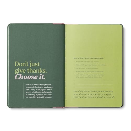 Compendium – Gratitude Every Day Guided Journal: A Daily Practice for Joy and Contentment – A 5-Minute a Day Personal Growth Notebook – An Inspiring Daily Journal for Forming New Habits - color: Gratitude Green