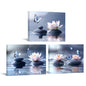 iKNOW FOTO Zen Lotus Flower Canvas Wall Art - 3pcs Calming Spa Decor with Stones and Butterfly - Water Lily Modern Artwork for Bathroom, Yoga Studio, Meditation, or Living Room - 12x16 Each