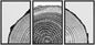 NWT Framed Canvas Print Wall Art Set Black White High Contrast Wood Tree Rings Nature Wilderness Photography Modern Art Rustic Scenic Relax/Calm for Living Room, Bedroom, Office - 16"x24"x3 Black - color: A02-2203-slm15, size: 16" x 24" x 3 Panels BLACK