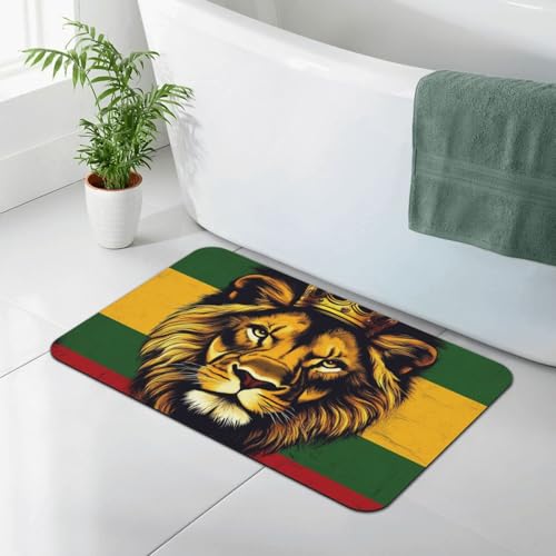Absorben Anti-Skid Toilet Shower Mat Indoor Outdoor Frontdoor Home Decor Perfect for Bedroom Livingroom Kitchen Patio Rasta Flag Lion Splatter Painting - color: Pattern 342