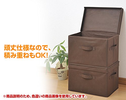 Yamazen YTCF-1PF(BR) Anywhere Storage Box, Width 15.0 x Depth 9.8 x Height 9.8 inches (38 x 25 x 25 x 25 cm), Handle and Lid Included, 1 Piece, Brown - color: brown (ivory handle)