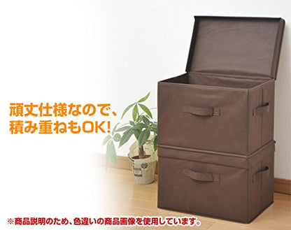 Yamazen YTCF-1PF(BR) Anywhere Storage Box, Width 15.0 x Depth 9.8 x Height 9.8 inches (38 x 25 x 25 x 25 cm), Handle and Lid Included, 1 Piece, Brown - color: brown (ivory handle)