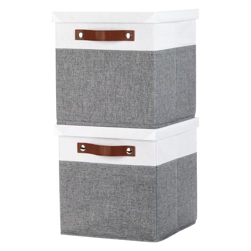 Temary Foldable Fabric Storage Bins with Lids, 2-Pack Storage Bin for Organizing Living Room, Closet Organization, Multi-Purpose Storage Boxes for Clothes (White&Grey, 10.5x10.5x10.5in) - color: White&Grey, size: 10.5×10.5×10.5