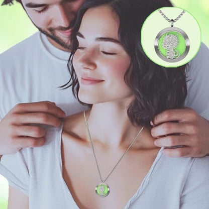 Dinosaur Aromatherapy Essential Oil Diffuser Necklace,Aromatherapy Diffuser Stainless Steel Pendant,for Men and Women,Portable,Suitable for Yoga,Meditation,Travel,Stress Relief Gift(Silver 30mm) - color: Cute Dinosaur Silver