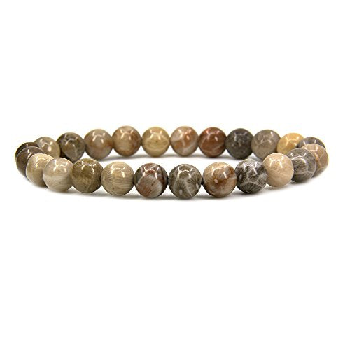 Amandastone Natural Gemstone 8mm Round Beads Stretch Bracelet 7 Inch - color: Coral Fossil
