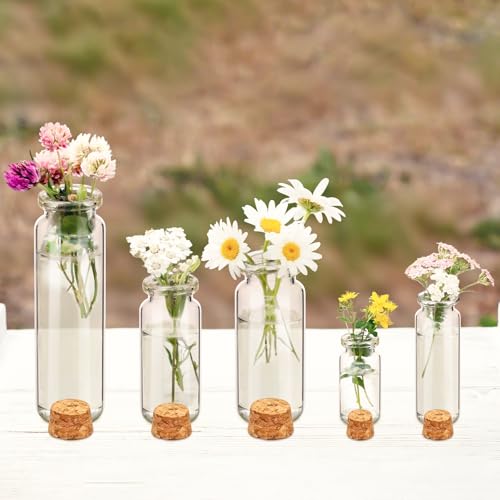 Geiserailie 45 Pcs Mini Glass Bottles with Cork Stoppers Spell Jar Mini Glass Vials Potion Bottles Clear Wishing Jars with 50 Eye Screws 3 Funnels for Party Favors DIY Art Crafts Decoration(Small) - size: Small