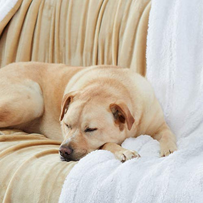 Sherpa Throw Blanket Super Soft Reversible Ultra Luxurious Plush Blanket, 50 x 60 inches, Camel/White - color: Camel / White, size: Throw (50" x 60")