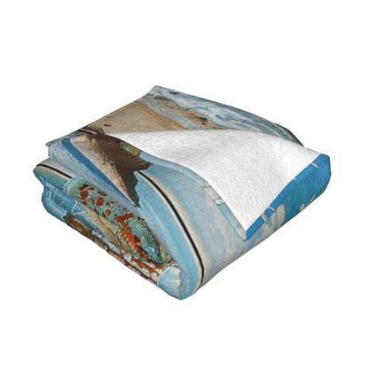 Beach Prints Throw Blanket (280g Flannel) Anti-Pilling Warm Fuzzy Blankets for Bed Sofa Couch Travel 60x50 Inch - color: Beach, size: 60x50 Inch