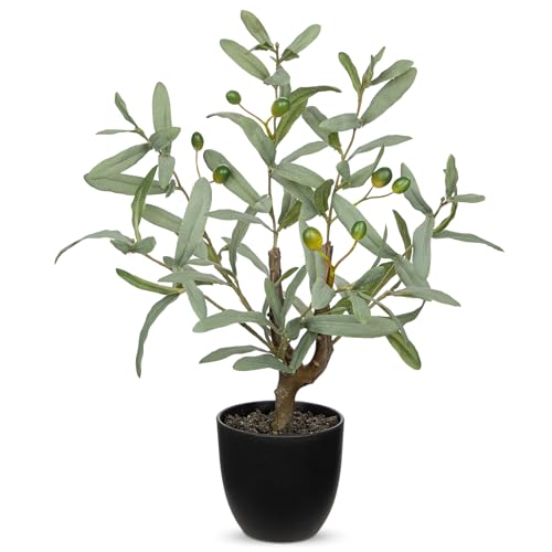 Briful Small Faux Olive Tree 18.9" Artificial Olive Plant with Black Pot Decorative Fake Olive Tree for Home Office Bathroom Table Farmhouse Décor - color: Olive Plants#5