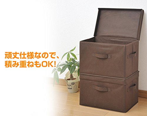 Yamazen YTCF-2PF(BR) Storage Box with Lid, Width 15.0 x Depth 9.8 x Height 9.8 inches (38 x 25 x 25 cm), Handle Included, Color Box Compatible, Finished Product, Brown, Set of 2 - color: Braun