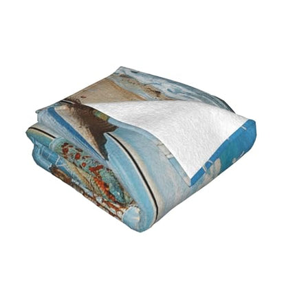 Beach Prints Throw Blanket (320g Flannel) Anti-Pilling Warm Fuzzy Blankets for Bed Sofa Couch Travel 40x30 Inch - color: Beach, size: 40x30 Inch