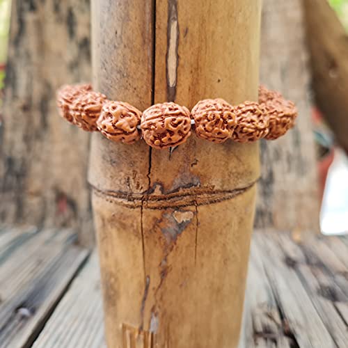 Rudraksha Bracelet for Men & Women's 2 Face, 3 Mukhi, 4 Mukhi, 5 Face, 6 Mukhi, 7 Mukhi, 8 Mukhi, 9 Mukhi, 10 Mukhi, 11 Mukhi Himalayan Rudraksha Beads Wrist Band for Yoga, Meditation, Healing - style: 4 Mukhi - Four Faced