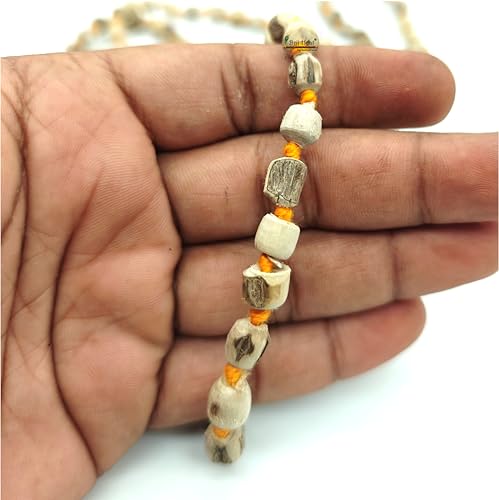 BRIJ HAAT Holy Basil Tulsi Wood Mala, 108+1 Beads, Hindu Japa Prayer Necklace for Meditation