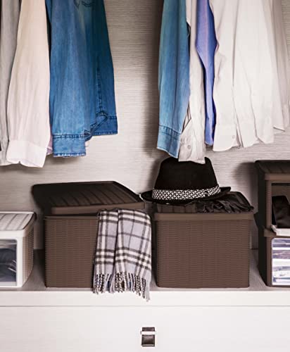 Stefanplast Elegance Storage Box, Mocha, 29 x 39 x 21 cm - color: Mocha, size: 29 x 39 x 21 cm
