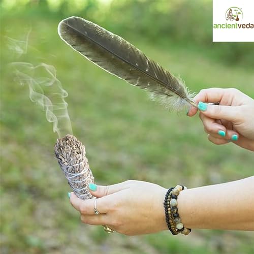 Ancient VEDA Sage Smudge Kit | Blue Sage, Sweetgrass & Palo Santo Sticks - Meditation, Yoga & Home Cleansing Kit - color: Blue Sage, size: Healer's Kit