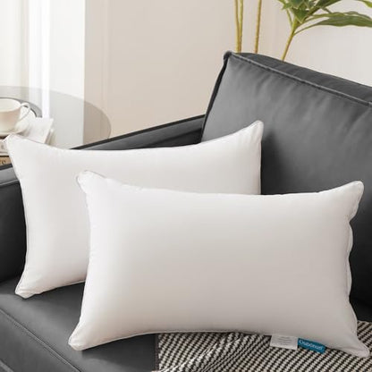 Oubonun 12x20 Lumbar Throw Pillow Inserts 2 Pack, 100% Cotton Breathable Cover Plump Rectangle Square Cushion Inserts White Decorative Pillows for Living Room Bedroom Office - style: 12x20 Inch (Pack of 2)