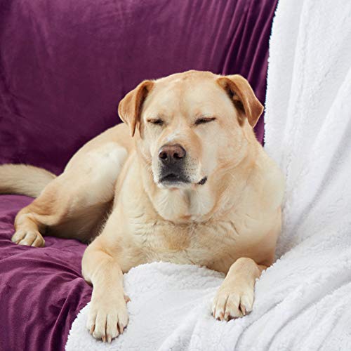 Sherpa Throw Blanket Super Soft Reversible Ultra Luxurious Plush Blanket, 50 x 60 inches, Rich Purple/White - color: Purple / White, size: Throw (50" x 60")