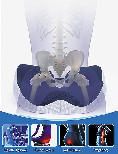 Seat Cushion, Seat Cushion for Sit Bone and Back Pain Relief, Butt, Tailbone, Hip, Hamstring, Posture Support - Memory Foam Comfort Ischial Tuberosity Pillow (Blue)