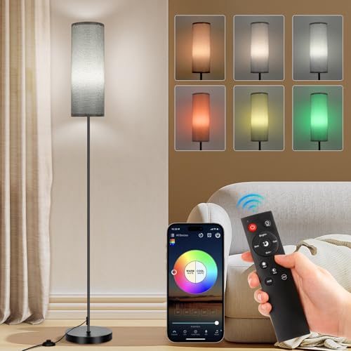 FRIDEKO HOME Gray Floor Lamps for Bedroom, Dimmable Colors Temperature & Brightness, Plug in Modern Floor Lamps for Living Room, Tall Standing Lamps for Office, Corner Lamp, 9W RGB LED Bulb - color: Grey 1_Pack