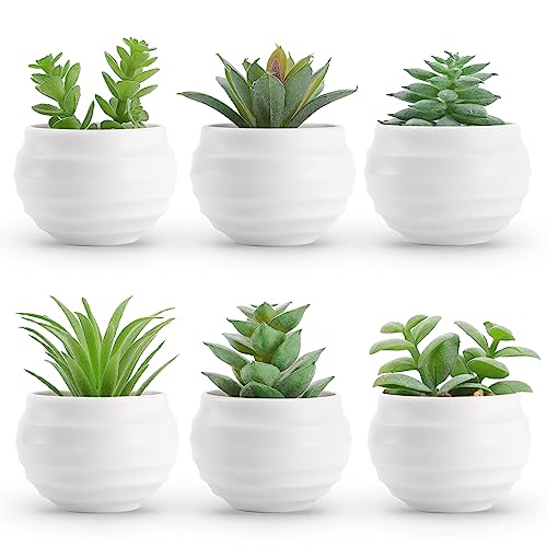 Der Rose Set of 6 Succulents Plants Artificial in Pots Small Fake Plants Graduation Gifts for Bedroom Aesthetic Living Room Shelf Bathroom Decor Office Desk Accessories - color: Green