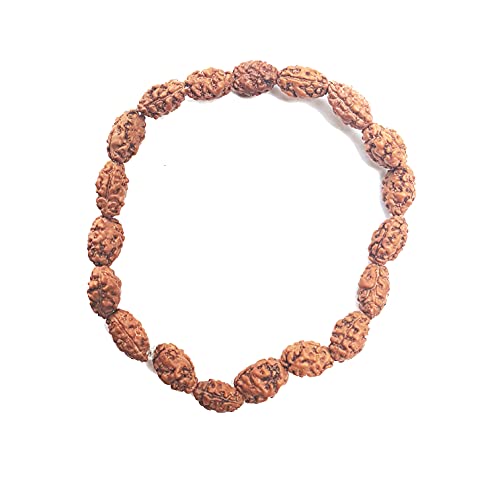 Rudraksha Bracelet for Men & Women's 2 Face, 3 Mukhi, 4 Mukhi, 5 Face, 6 Mukhi, 7 Mukhi, 8 Mukhi, 9 Mukhi, 10 Mukhi, 11 Mukhi Himalayan Rudraksha Beads Wrist Band for Yoga, Meditation, Healing - style: 2 Mukhi ( Two Faced)