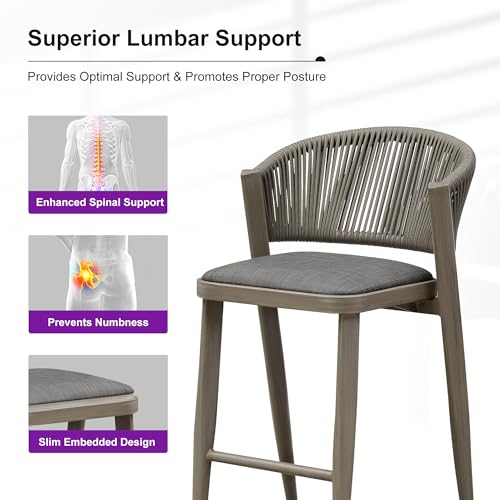 PURPLE LEAF Counter Height Bar Stool Set of 2 Modern Aluminum Rattan Wicker Outdoor Barstools with Backrest and Cushion for Kitchen Lawn Pool Bar Chairs Grey