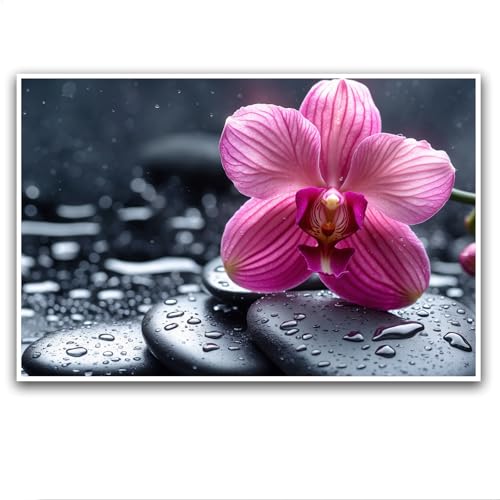 Zen Stone Canvas Wall Art Stone Orchid Poster Stone Painting Meditation Theme Mural Water Lily Stone Wall Painting Printing for Bedroom Living Room Yoga Spa Meditation Bathroom Decor - color: Zen-1, size: 8x12in Frameless