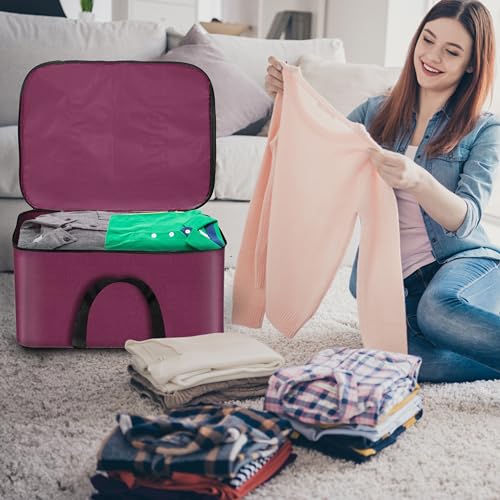 Storite 2 Pack Small Non-Woven Fabric Clothes Storage Bags | Foldable Wardrobe Organizer with Zipper & Handle | Underbed Cloth Storage Box for Sarees, Blankets & Toys (Non-Woven, 41_35_23.5 cm)