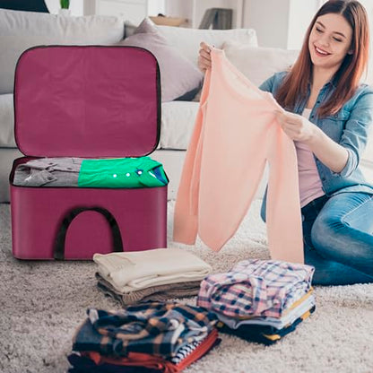 Storite 2 Pack Small Non-Woven Fabric Clothes Storage Bags | Foldable Wardrobe Organizer with Zipper & Handle | Underbed Cloth Storage Box for Sarees, Blankets & Toys (Non-Woven, 41_35_23.5 cm)
