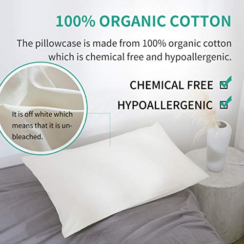 Organic Cotton Pillow Case - One Pack 13"x 18" Kids Pillow Pillowcase with No Zipper - 300 TC Thread Count - Soft, Safe and Hypoallergenic - Off White - size: 13"x18"