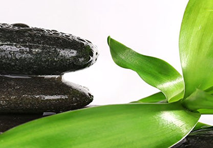 artgeist - Textured Canvas Wall Art Zen Spa 35x12 in - Painting Canvas Prints - Acrylic Gel Texture - Picture Artwork Image - Modern Home - Nature Bamboo Feng Shui Spa Stone Green White b-B-0206-b-a