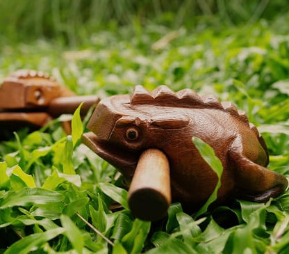 BSIRI 5" Wooden Frog Rasp - Musical instruments of Africa Frog Rasp Super Guiro Percussion Frog Wood Block Instrument of Frog Noise Maker Cool Music Gifts Ideas Fun Instruments for Adults and Kids - size: 5 Inches Size