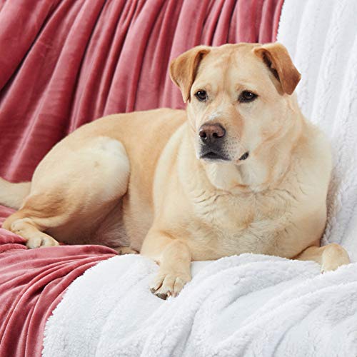 Sherpa Throw Blanket Super Soft Reversible Ultra Luxurious Plush Blanket, 50 x 60 inches, Light Mahogany/White - color: Light Mahogany / White, size: Throw (50" x 60")