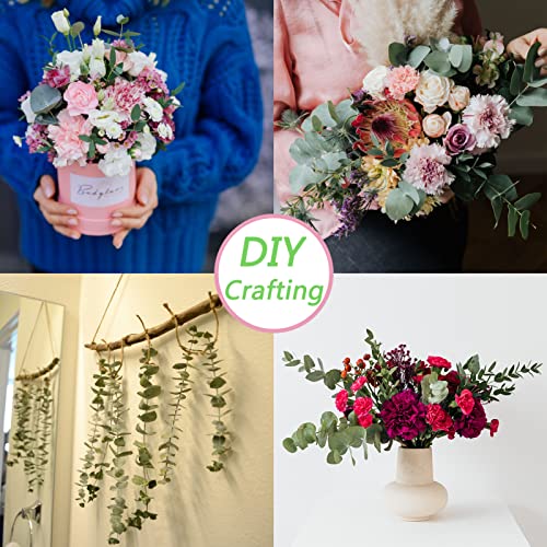 30 Pcs Dried Eucalyptus Stems 17" Real Eucalyptus for Shower Hanging 100% Made from Fresh Leaves, Wedding, Home, Farmhouse, DIY Spring Decor - size: 30 Pcs