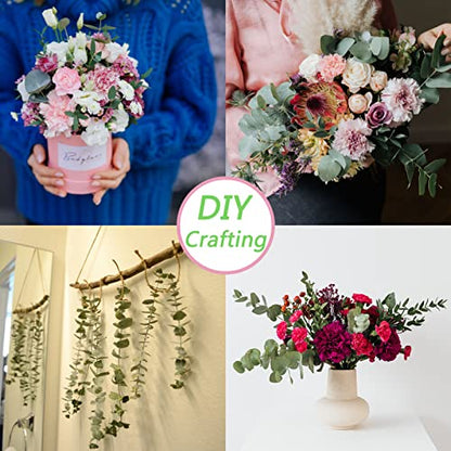 30 Pcs Dried Eucalyptus Stems 17" Real Eucalyptus for Shower Hanging 100% Made from Fresh Leaves, Wedding, Home, Farmhouse, DIY Spring Decor - size: 30 Pcs