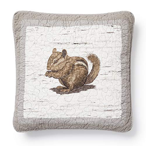 Donna Sharp Birch Forest Cotton Decorative Throw Pillow - Pillows for Couch, Sofa, Beds, and Chairs - Includes 18" x 18" Square Pillow - color: Birch Forest Chipmunk