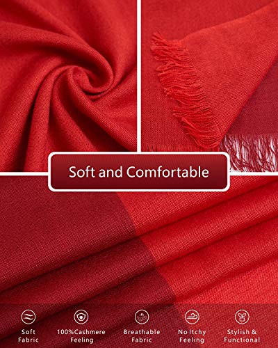 EURKEA Women's Scarf Pashmina Silky Soft Shawls Wraps Stole for Evening, Wedding and Gift - color: Wine Red Blend