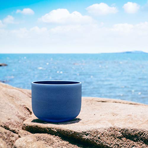 TOPFUND 440Hz Indigo A Note Crystal Singing Bowl Third Eye Chakra 8 inch with Heavy Duty Carrying Case and Suede Mallet - color: Indigo 440Hz A Note, size: 8 inch