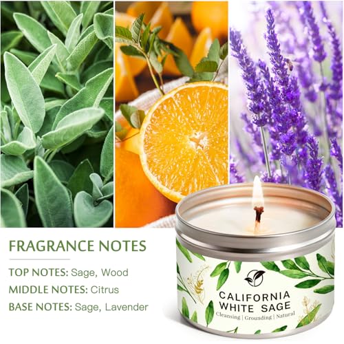 Sage Candles for Cleansing, Pure White Sage Candle 6 OZ- 35 Hour Burn Time, Aromatherapy Candle for Cleansing House Negative Energy Smudge Kit, Spiritual Meditation Housewarming Gifts - style: Pure Sage