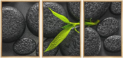 wall26 - Framed Canvas Bamboo Branch on Zen Stone - Canvas Art Wall Art - 16"x24"x3 Natural - color: Artwork - D762, size: 16" x 24" x 3 Panels NATURAL