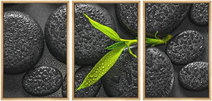 wall26 - Framed Canvas Bamboo Branch on Zen Stone - Canvas Art Wall Art - 16"x24"x3 Natural - color: Artwork - D762, size: 16" x 24" x 3 Panels NATURAL