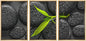 wall26 - Framed Canvas Bamboo Branch on Zen Stone - Canvas Art Wall Art - 16"x24"x3 Natural - color: Artwork - D762, size: 16" x 24" x 3 Panels NATURAL