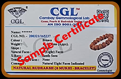 Rudraksha Bracelet for Men & Women's 2 Face, 3 Mukhi, 4 Mukhi, 5 Face, 6 Mukhi, 7 Mukhi, 8 Mukhi, 9 Mukhi, 10 Mukhi, 11 Mukhi Himalayan Rudraksha Beads Wrist Band for Yoga, Meditation, Healing - style: 8 Mukhi - Eight Faced