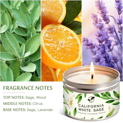Sage Candles Gift Set, 6-Pack 6oz Natural Soy Wax Aromatherapy Candles, Clean Burn & Lead-Free Cotton Wicks, Calming Scents for Spiritual Meditation, Housewarming Birthday Self Care Gifts for Women - style: Sage Candles - 6 Pack