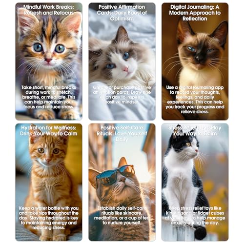 Against Anxiety Cards, 50 Cats Affirmation Cards for Stress Relief and Self Care Mindfulness