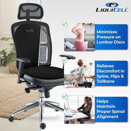 ERGO21 Lumbar Support Pillow for Office Chair, Car, Driving Seat, Auto, Lower Back Pain | Great Back Support with Liquid Filled Membranes | Small Size, (18" W x 18”x 1.5”) - size: Lumbar Small - 18" x 18" x 1.5"